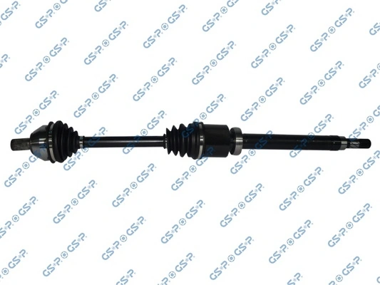 218350 GSP
