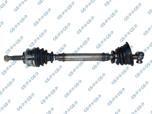 250358 GSP