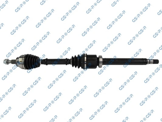 218343 GSP