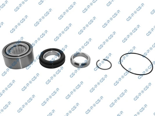 GKX0071 GSP