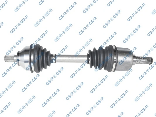 262097 GSP