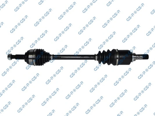 250570 GSP