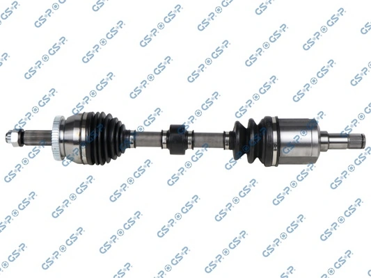 224460 GSP
