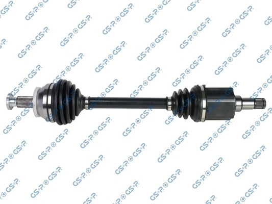 201922 GSP