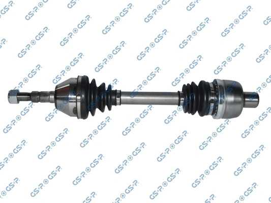 244099 GSP