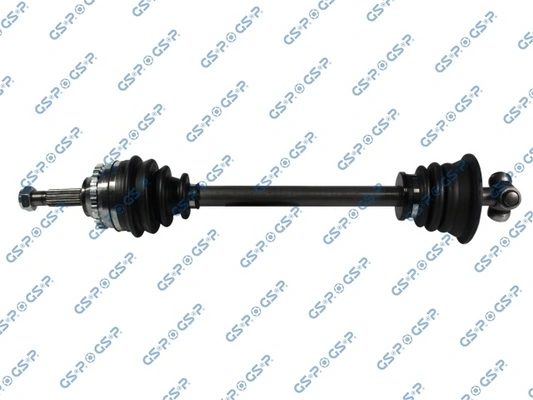 250356 GSP