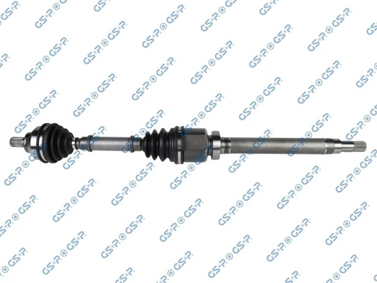 218280 GSP