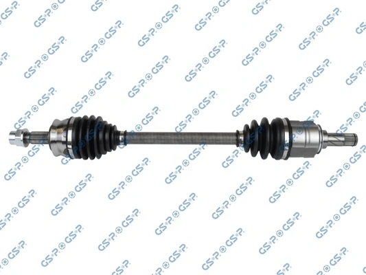 244079 GSP