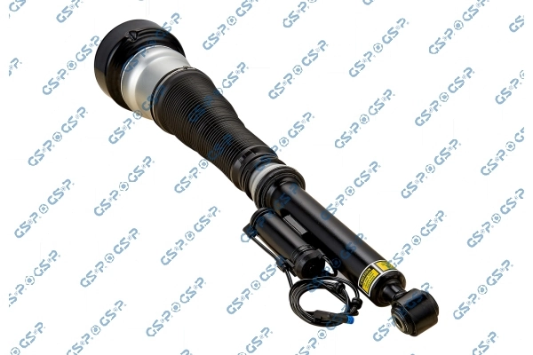 30900341 GSP