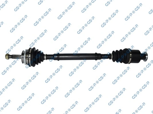 250284 GSP