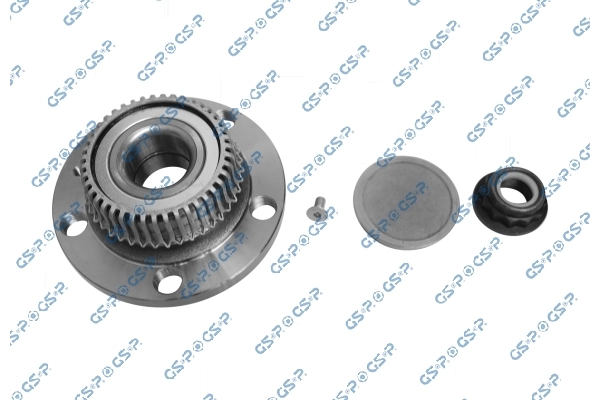 9230051K GSP Buje de rueda trasero