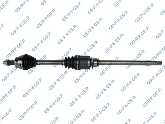 217157 GSP