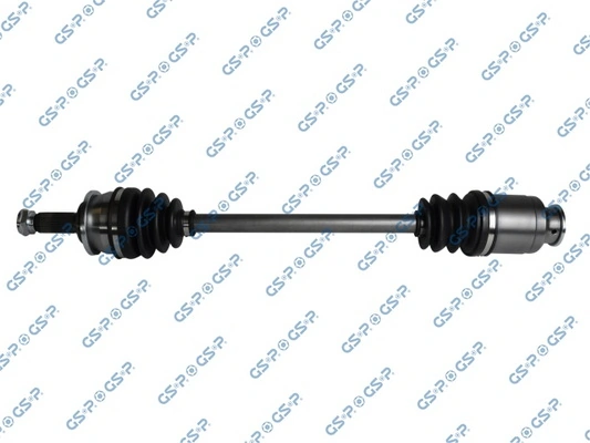 256006 GSP