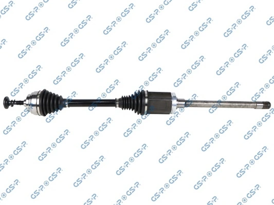 203946 GSP