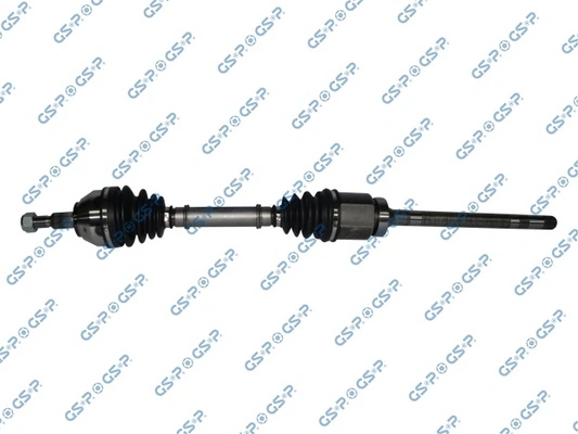 250465 GSP
