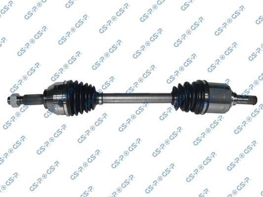 218361 GSP