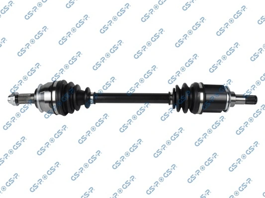299285 GSP
