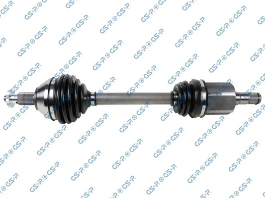 203842 GSP