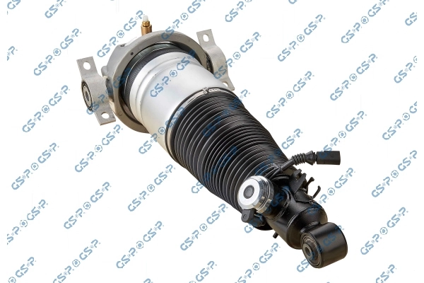 30900141 GSP