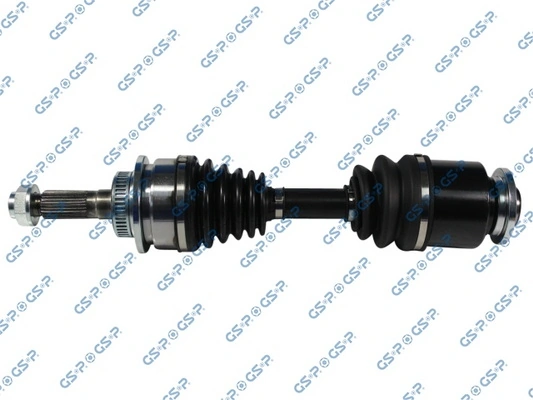 218210 GSP