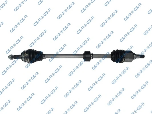 259531 GSP