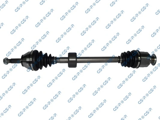 250205 GSP