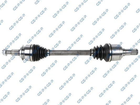 203824 GSP