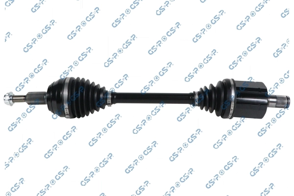 203938OL GSP