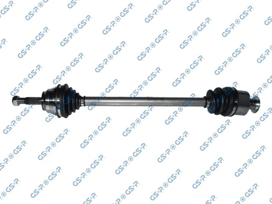 250035 GSP