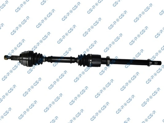 250455 GSP
