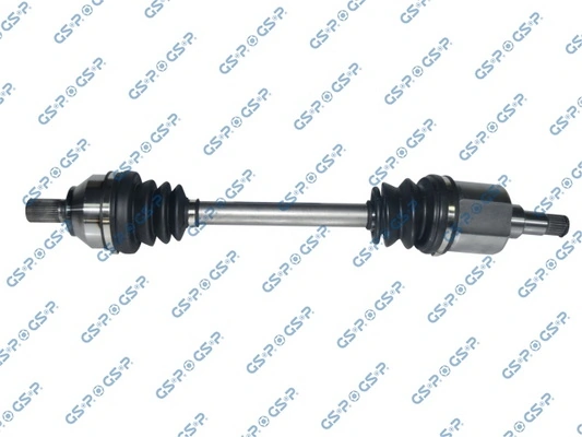 218359 GSP