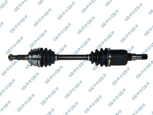 299246 GSP