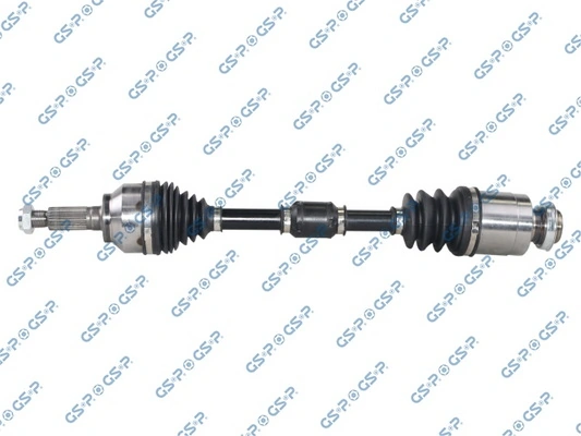 218421 GSP
