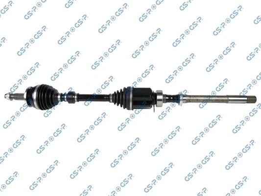 259518OL GSP