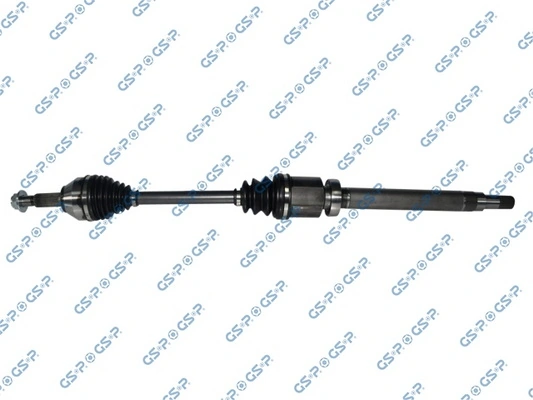 218264 GSP