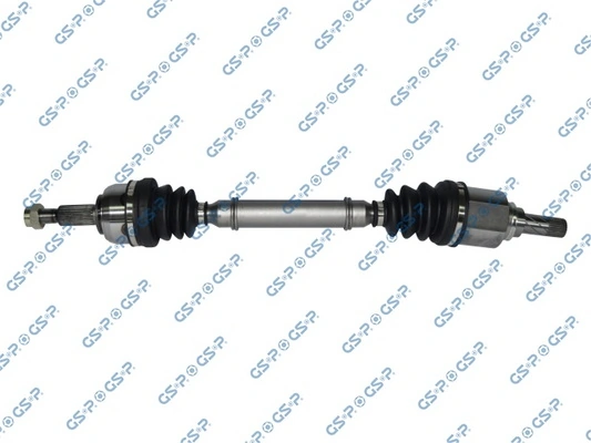 250494 GSP