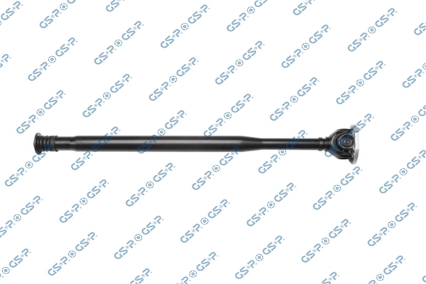 PS901589 GSP