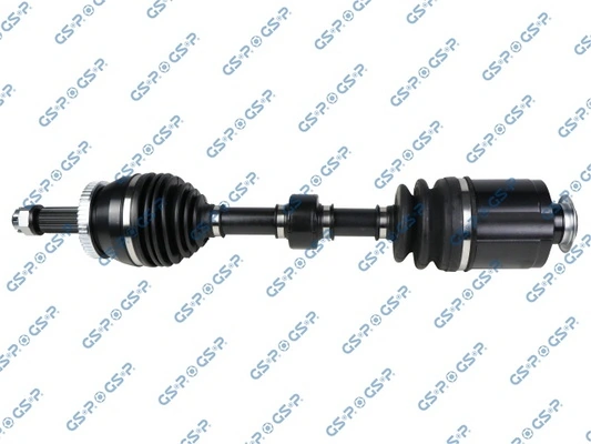 224561 GSP