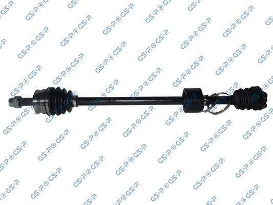 217171 GSP