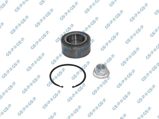 GKX0079 GSP