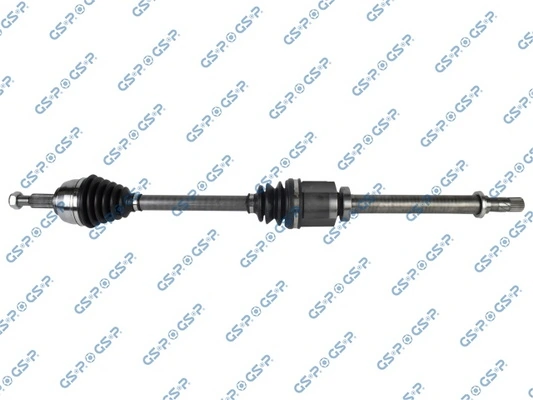 250348 GSP