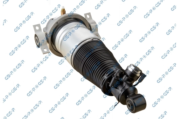 30900142 GSP
