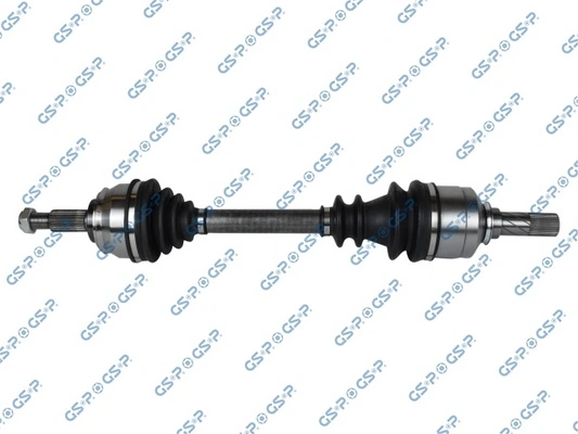 250496 GSP