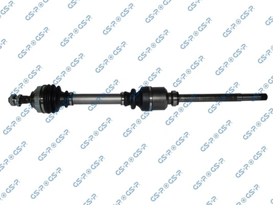 210195 GSP