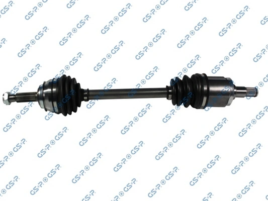 254001 GSP