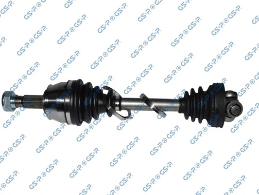 217193 GSP