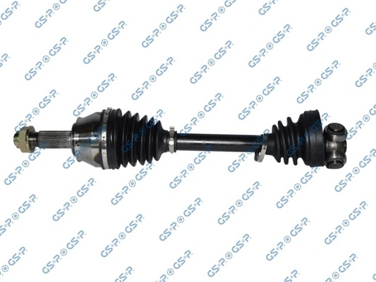 217013 GSP