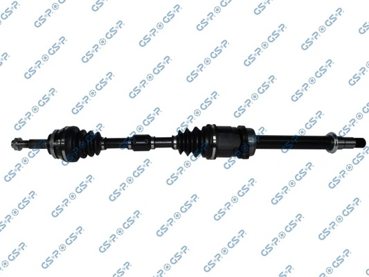 259519 GSP