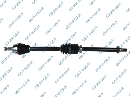 250536 GSP