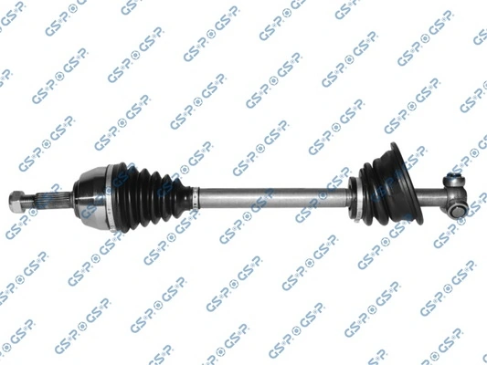 250020 GSP